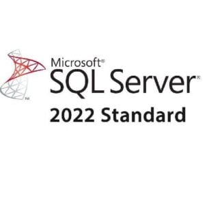 Microsoft SQL Server 2022 Standard Edition für effiziente Datenverwaltung