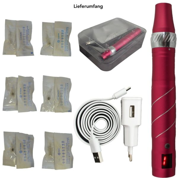 Dermapen Microneedling Gerät elektrisch für Anti-Aging mit 12 Nadeln