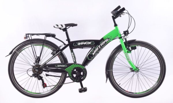 24 Zoll Kinderfahrrad Mistral GRÜN für Jungen - City Bike Rad