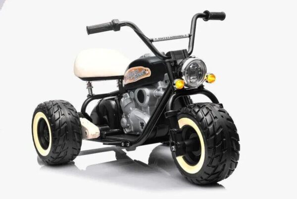 Elektro Kindermotorrad 24V 2x800W Brushless Motor 10 km/h LED für Kinder - Image 2